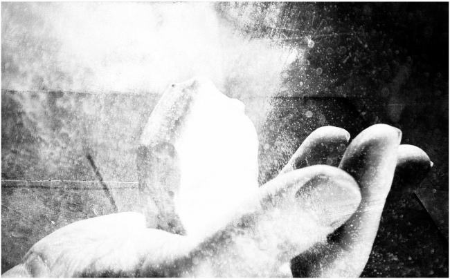 Huis van Licht 2006 Werk door Peter Rosier